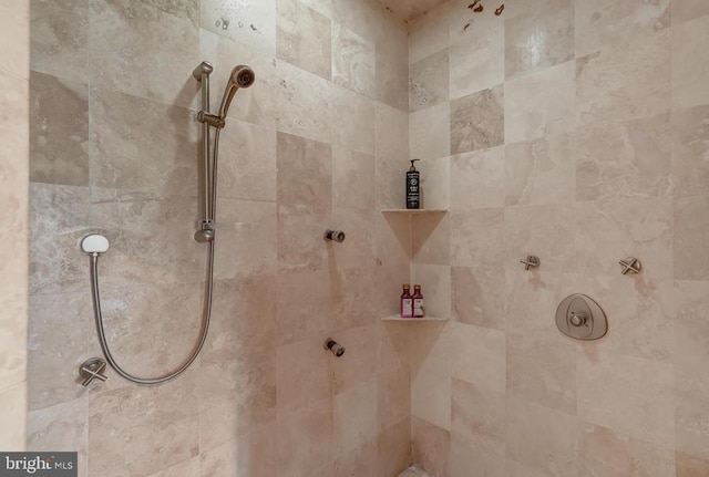 11304 Piney Forest Dr, Bumpass, VA 23024 - bathroom featuring a tile shower