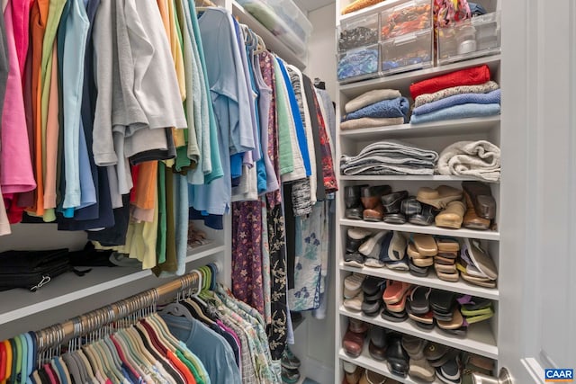 143 Chapel Ct, Palmyra, VA 22963 - view of spacious closet