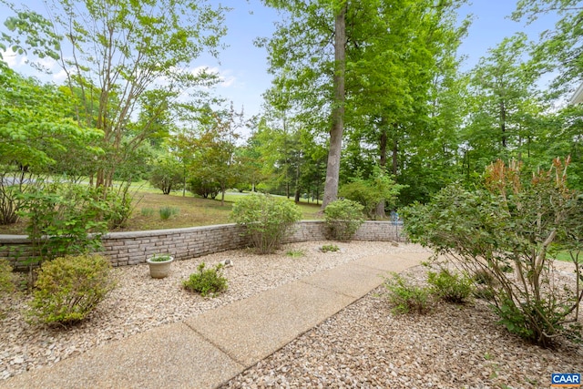 143 Chapel Ct, Palmyra, VA 22963 - view of yard
