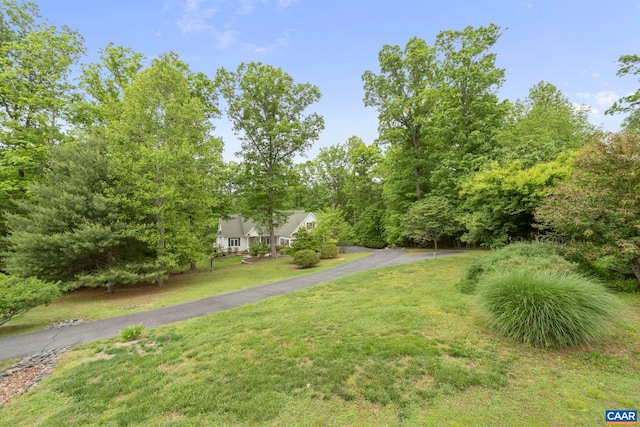 143 Chapel Ct, Palmyra, VA 22963 - view of green lawn