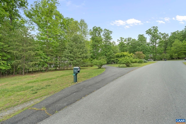 143 Chapel Ct, Palmyra, VA 22963 - view of asphalt street