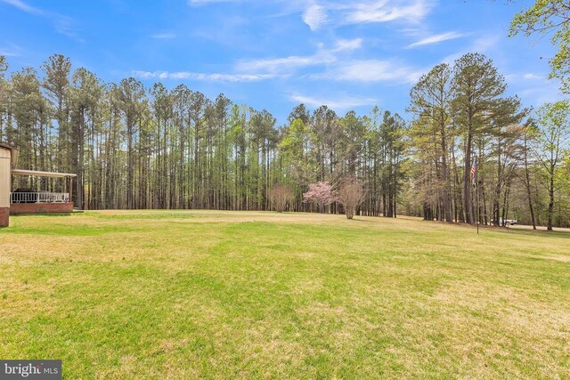309 Shortmans Rd, Mineral, VA 23117 - photo 7