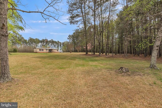 309 Shortmans Rd, Mineral, VA 23117 - photo 16