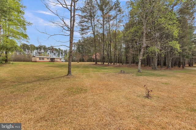 309 Shortmans Rd, Mineral, VA 23117 - photo 1