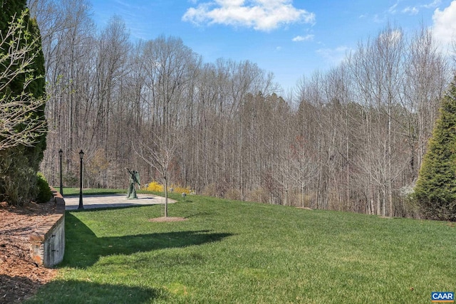 6385 Indian Ridge Dr, Earlysville, VA 22936 - photo 46