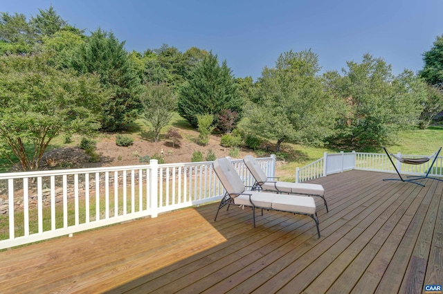 455 Foxdale Ln, Charlottesville, VA 22903 - photo 22