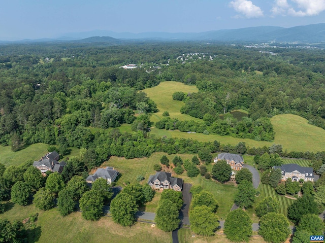 455 Foxdale Ln, Charlottesville, VA 22903 - photo 63