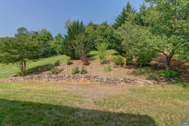 455 Foxdale Ln, Charlottesville, VA 22903 - photo 70