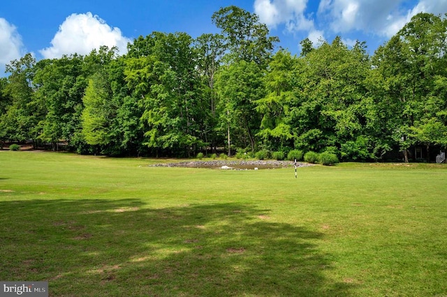 141 Eagle Ct, Locust Grove, VA 22508 - view of green lawn