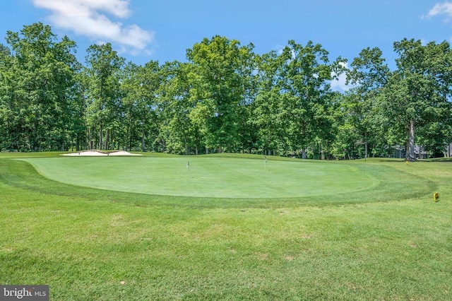 141 Eagle Ct, Locust Grove, VA 22508 - view of property's community featuring golf course view, view of wooded area, a putting area, and a yard