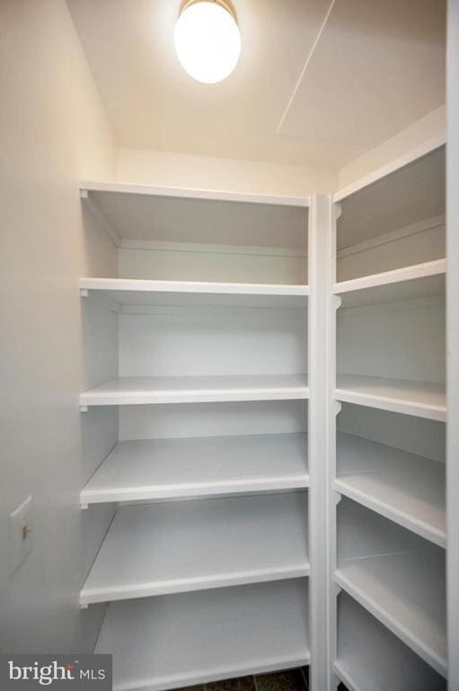 141 Eagle Ct, Locust Grove, VA 22508 - view of pantry