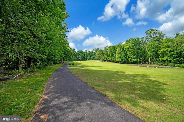 141 Eagle Ct, Locust Grove, VA 22508 - view of property's community featuring a lawn and a view of trees