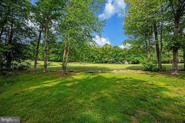 141 Eagle Ct, Locust Grove, VA 22508 - view of green lawn featuring view of wooded area