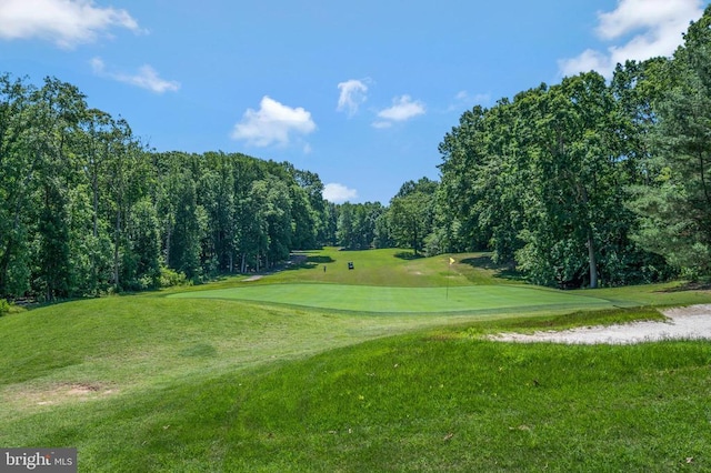 141 Eagle Ct, Locust Grove, VA 22508 - view of property's community with a lawn and golf course view