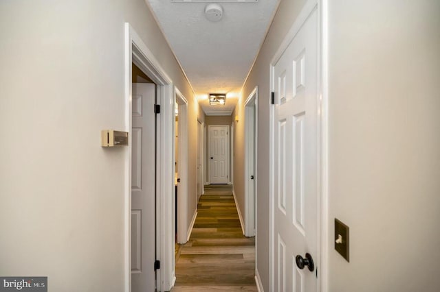 141 Eagle Ct, Locust Grove, VA 22508 - hallway featuring wood finished floors, a textured ceiling, and baseboards