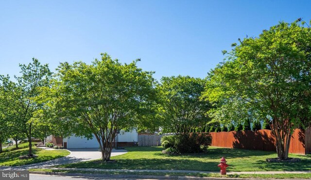 5930 Copper Mountain Dr W, Spotsylvania, VA 22553 - view of yard with concrete driveway