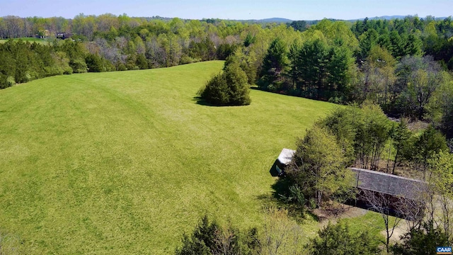 4749 Wesley Chapel Rd, Free Union, VA 22940 - photo 60