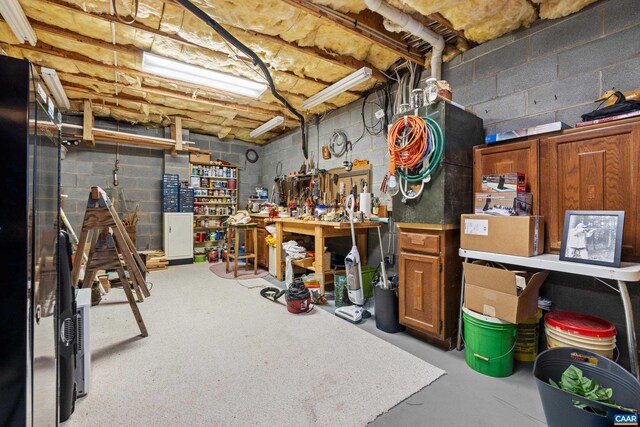 56 Wildwood Dr, Palmyra, VA 22963 - unfinished below grade area with concrete block wall