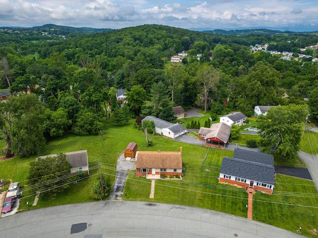 816 Rutherford St, Staunton, VA 24401 - aerial view of a forest