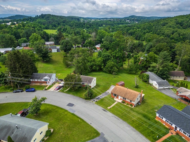 816 Rutherford St, Staunton, VA 24401 - aerial view of a forest