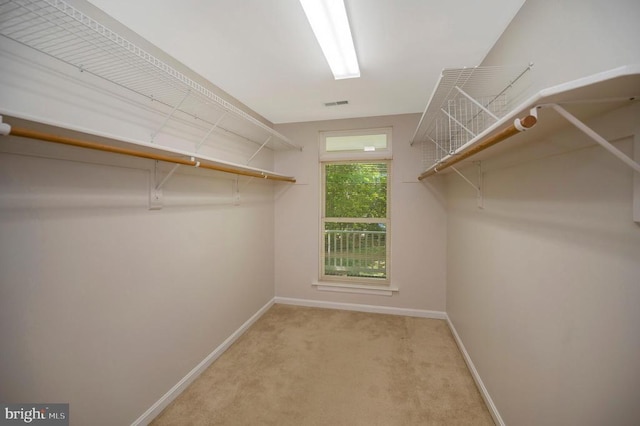 317 Edgehill Dr, Locust Grove, VA 22508 - walk in closet with carpet