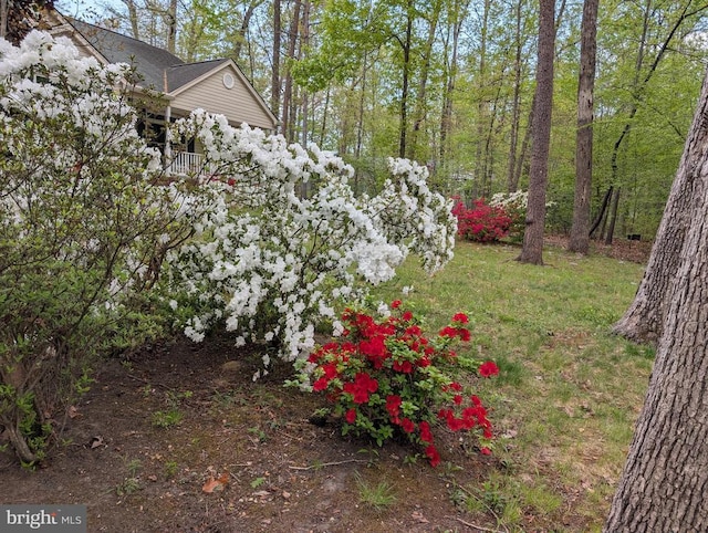 317 Edgehill Dr, Locust Grove, VA 22508 - view of yard