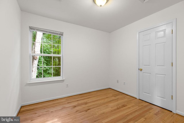 36031 Wilderness Shores Way, Locust Grove, VA 22508 - photo 28