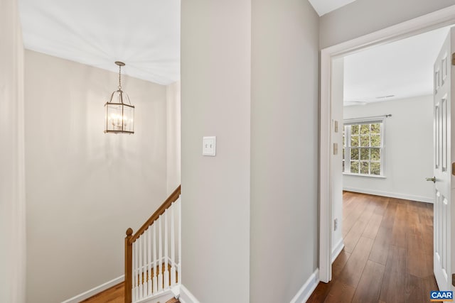 1011 Bristlecone Ln, Charlottesville, VA 22911 - photo 24