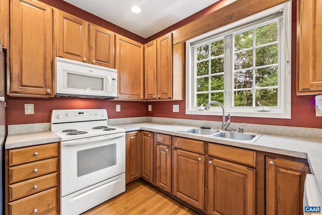 1011 Bristlecone Ln, Charlottesville, VA 22911 - photo 15