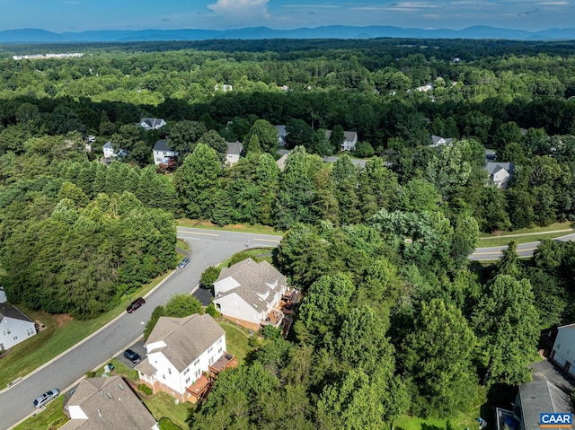 1011 Bristlecone Ln, Charlottesville, VA 22911 - photo 43