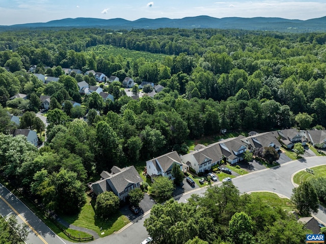 1011 Bristlecone Ln, Charlottesville, VA 22911 - photo 41