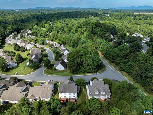1011 Bristlecone Ln, Charlottesville, VA 22911 - photo 44