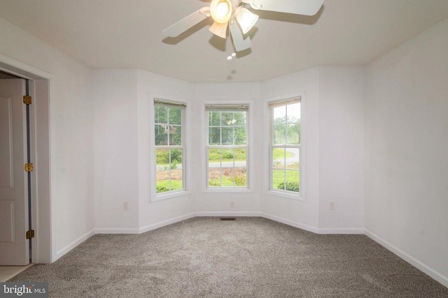 5519 Bazzanella Dr, Mineral, VA 23117 - photo 19