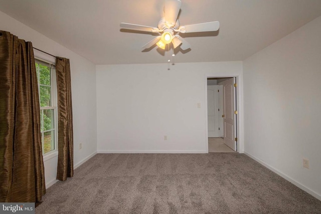5519 Bazzanella Dr, Mineral, VA 23117 - photo 20