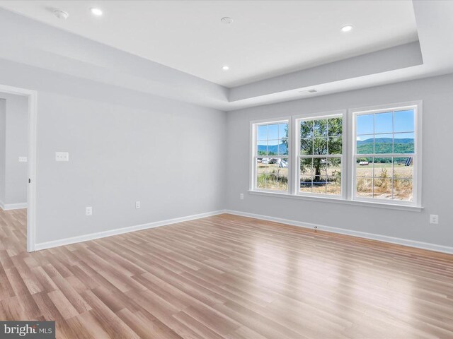 91 Arthur Ln, Luray, VA 22835 - spare room featuring light wood-type flooring, baseboards, and recessed lighting