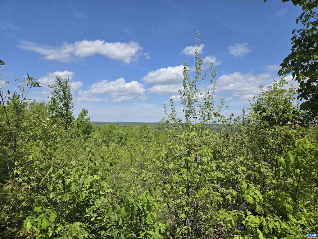 000 Leigh Mountain Rd, Green Bay, VA 23942 - photo 1