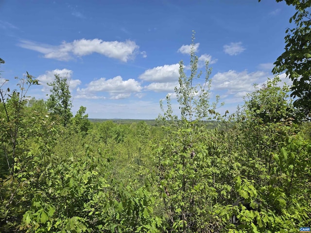 000 Leigh Mountain Rd, Green Bay, VA 23942 - photo 1