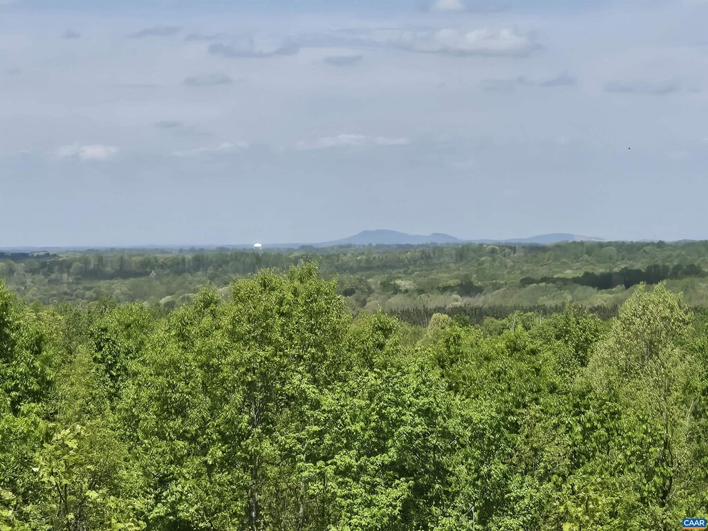 000 Leigh Mountain Rd, Green Bay, VA 23942 - photo 2