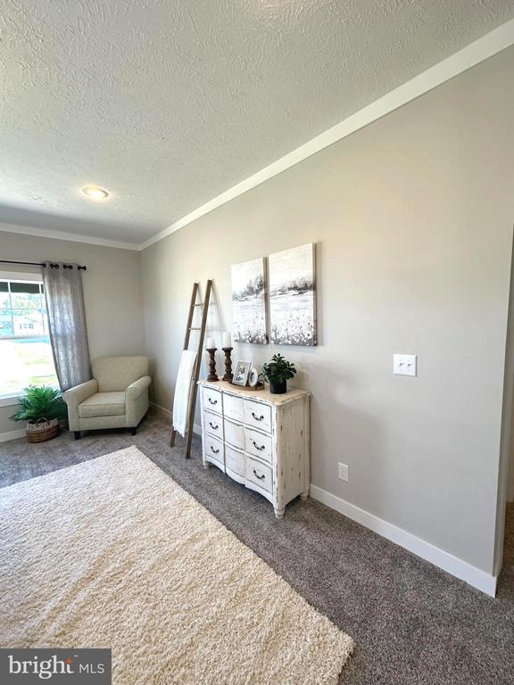 104 Henson Ave, Louisa, VA 23093 - photo 28