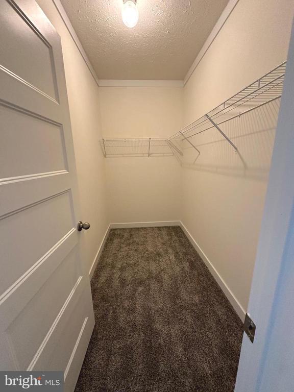 104 Henson Ave, Louisa, VA 23093 - photo 29