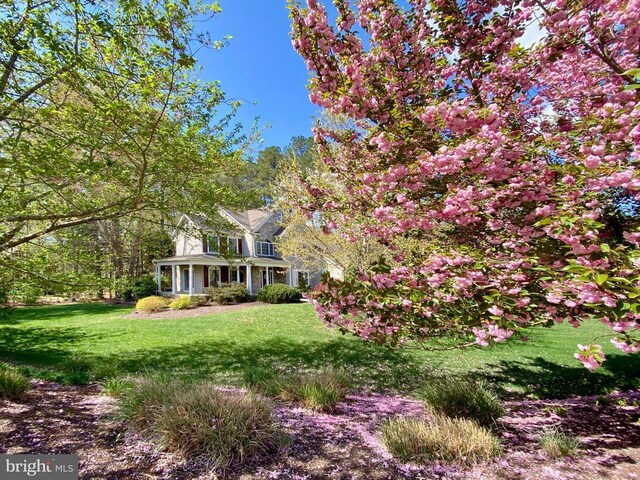 11800 Fawn Lake Pkwy, Spotsylvania, VA 22551 - photo 46