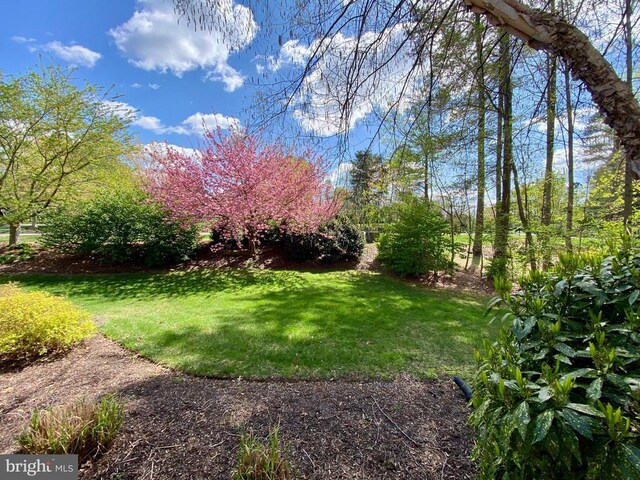 11800 Fawn Lake Pkwy, Spotsylvania, VA 22551 - photo 49