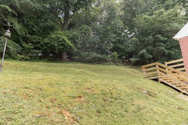 164 28th St E, Buena Vista, VA 24416 - view of green lawn with a forest view