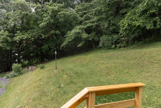 164 28th St E, Buena Vista, VA 24416 - view of green lawn