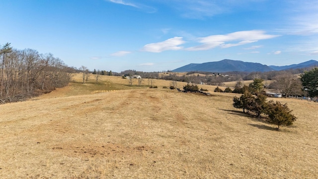32.31AC Lee Hwy N, Raphine, VA 24472 - photo 4