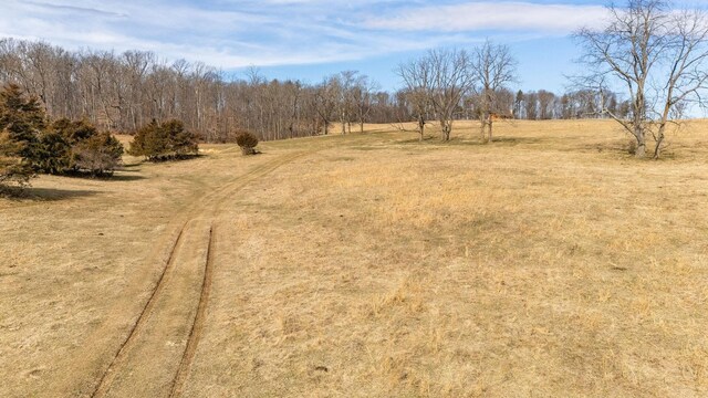 32.31AC Lee Hwy N, Raphine, VA 24472 - photo 5