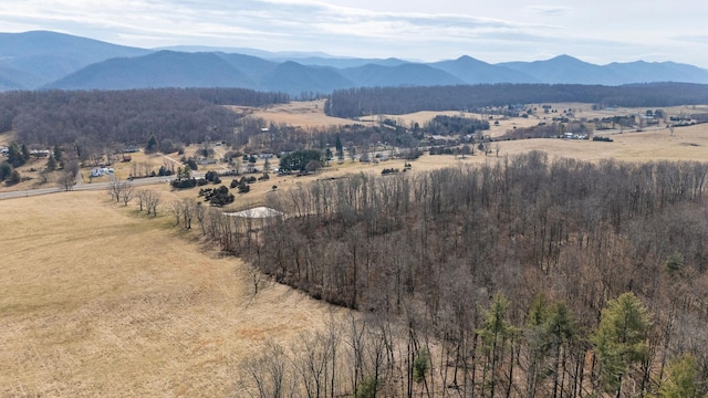 32.31AC Lee Hwy N, Raphine, VA 24472 - photo 15