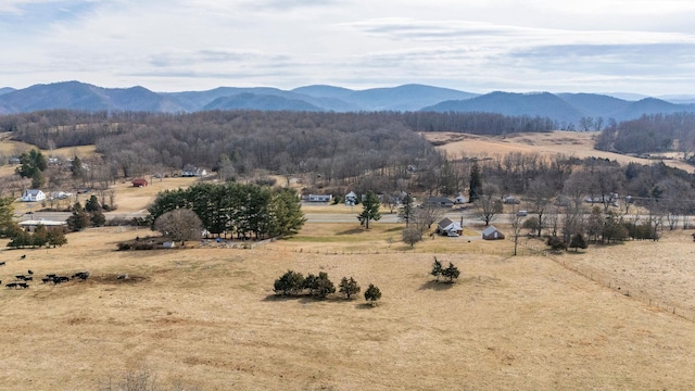 32.31AC Lee Hwy N, Raphine, VA 24472 - photo 2