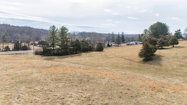 32.31AC Lee Hwy N, Raphine, VA 24472 - photo 16