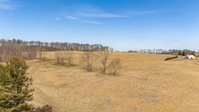 32.31AC Lee Hwy N, Raphine, VA 24472 - photo 9